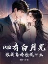 心有白月光?我提离婚你慌什么